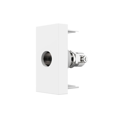 TV socket