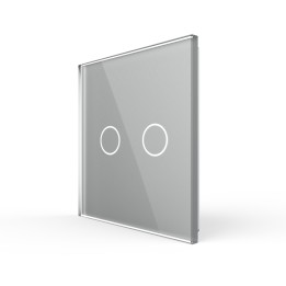 Glass faceplate - 2 buttons