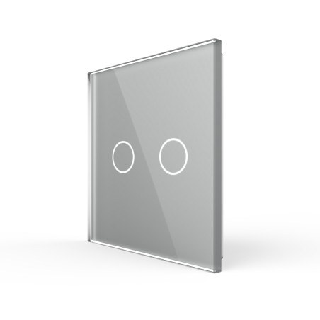 Plaque de finition en verre - 2 boutons