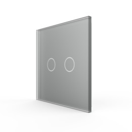 Plaque de finition en verre - 2 boutons