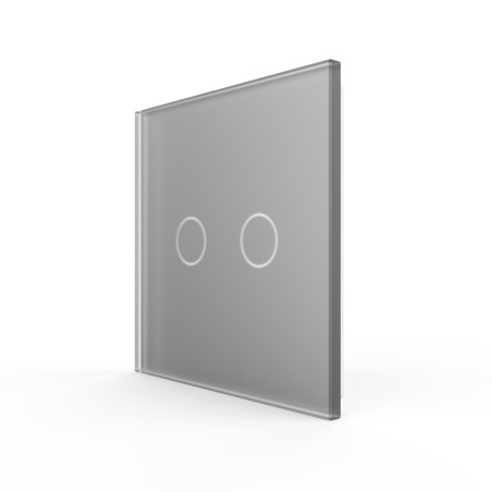 Plaque de finition en verre - 2 boutons