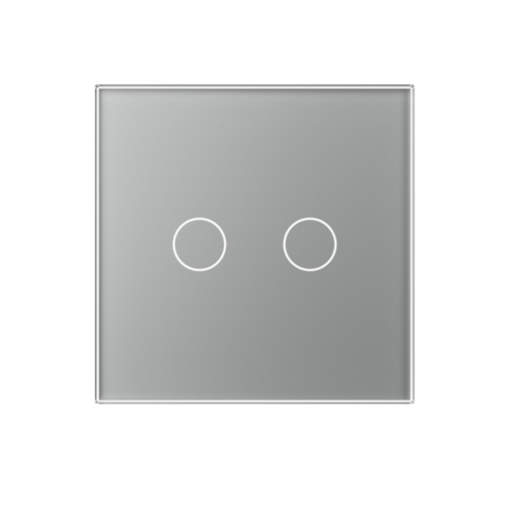 Plaque de finition en verre - 2 boutons
