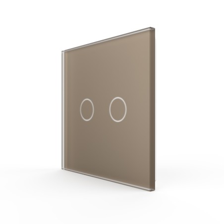 Plaque de finition en verre - 2 boutons