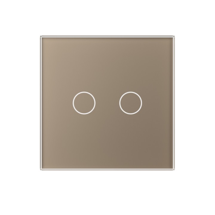 Glass faceplate - 2 buttons