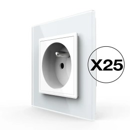 Lot de 25 prises avec terre complètes - type E