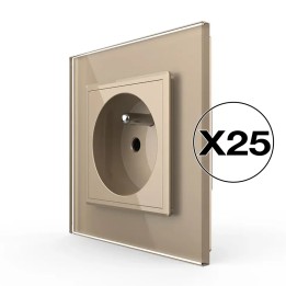 Lot de 25 prises avec terre complètes - type E